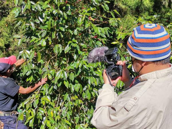 El documental pretende contar situaciones cotidianas a la que los miembros de la cadena de producción de café se enfrentan.