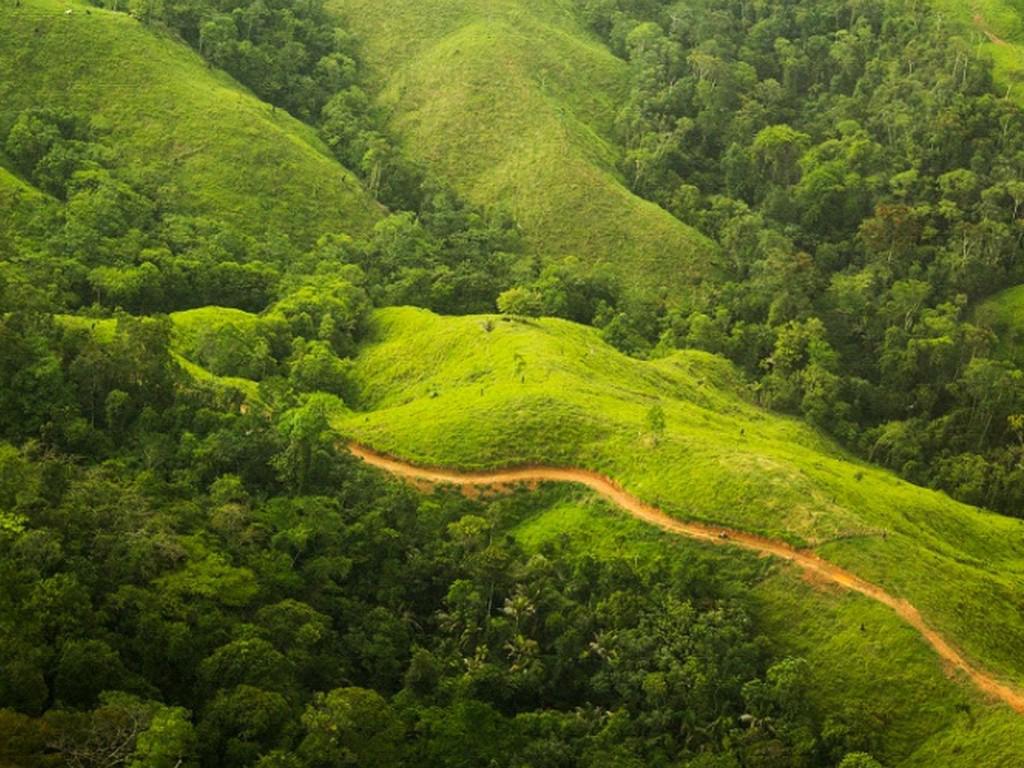 En vigencia acuerdo entre Honduras y la Unión Europea para reducir la tala ilegal