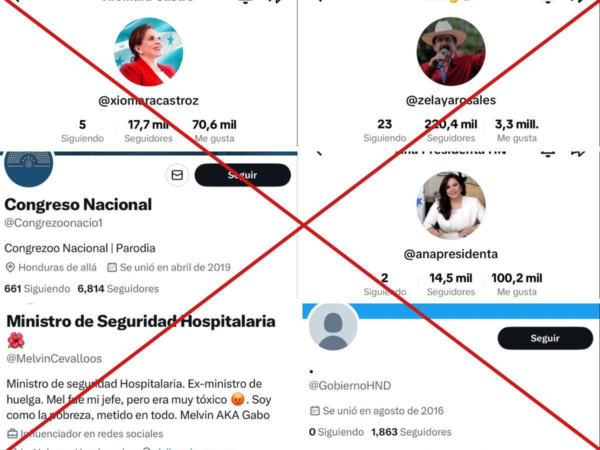 $!Combinación de capturas de pantalla de los perfiles en TikTok y X de cuentas identificadas por EL HERALDO Verifia que usurpan a políticos funcionarios y entidades.